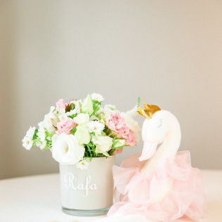 Cisne de Pelúcia 