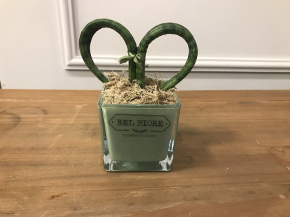 Vaso cubo verde pastel