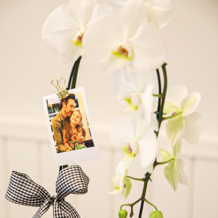 Orquídea do Papai