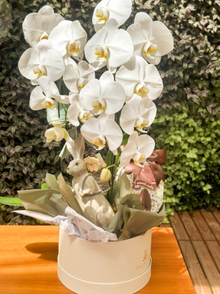 Box Orquidea de Páscoa