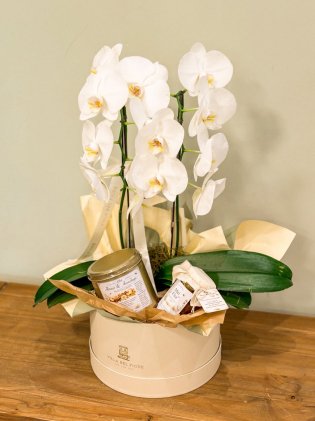 Box Orquídea Florescer