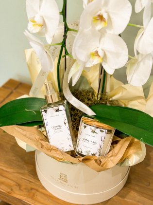Box Orquidea e Aroma